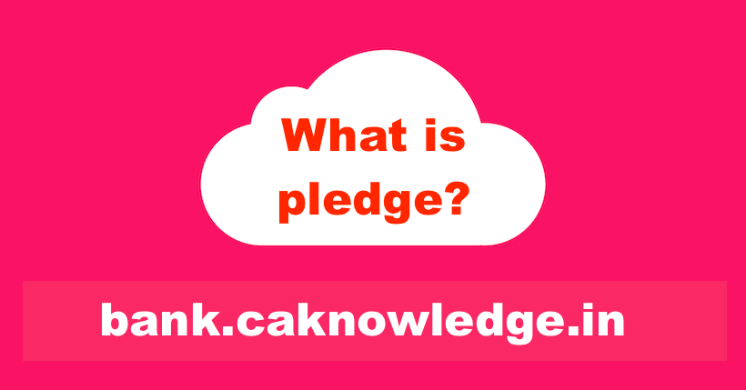 What is pledge?