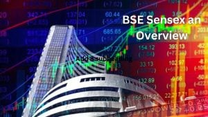 BSE Sensex an Overview