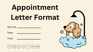 Appointment Letter Format