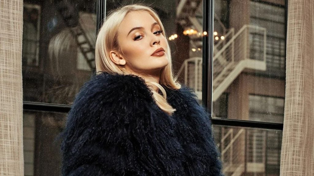 Zara Larsson Income